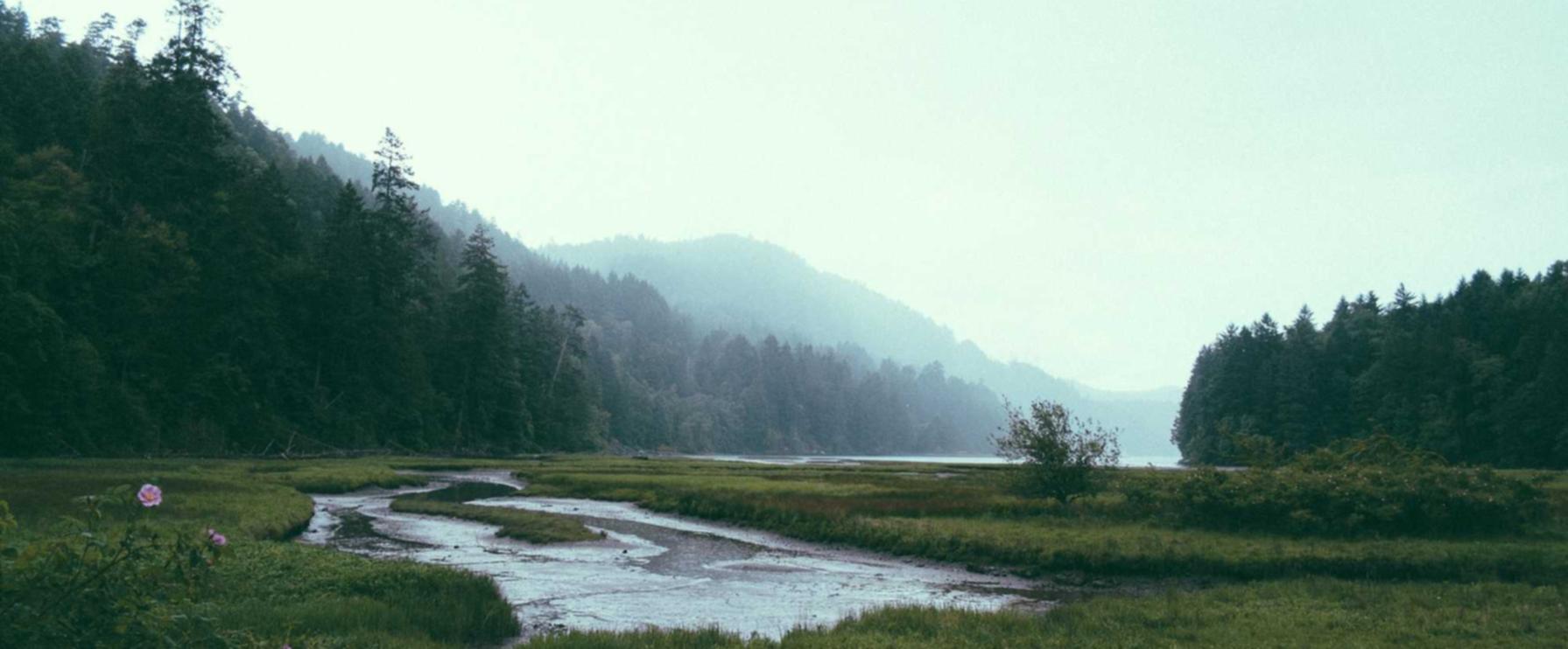 微信账号买卖:期货平台无需开户