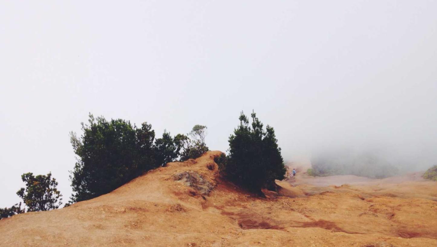 详情下载教程天天果园app