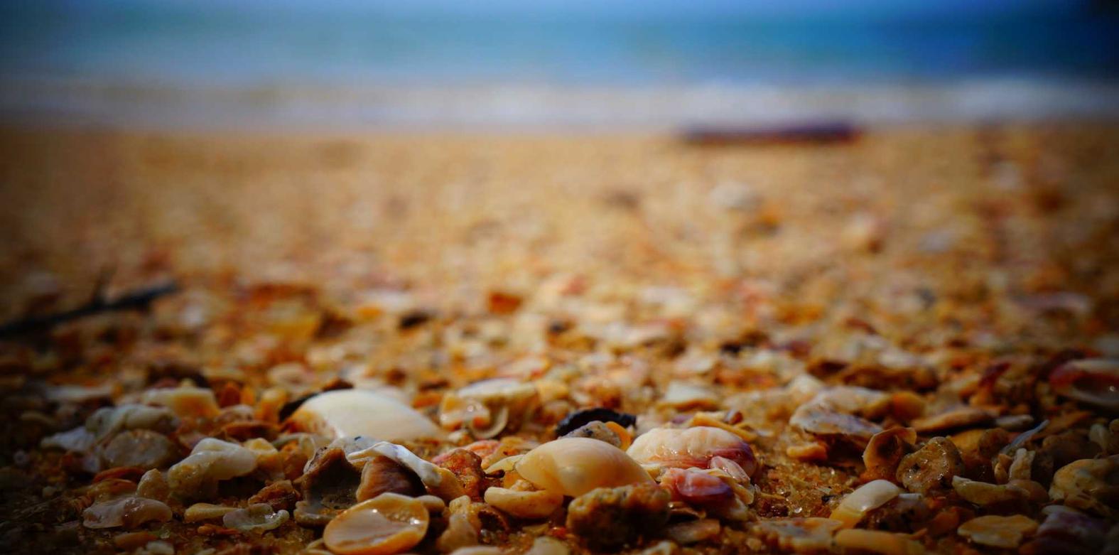 免费攻击网站|江干区分公司注册流程代理