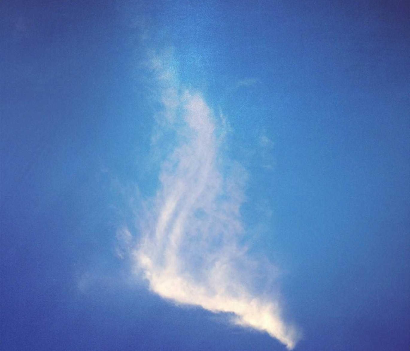 火网实名账号:盐城注册公司代理记帐