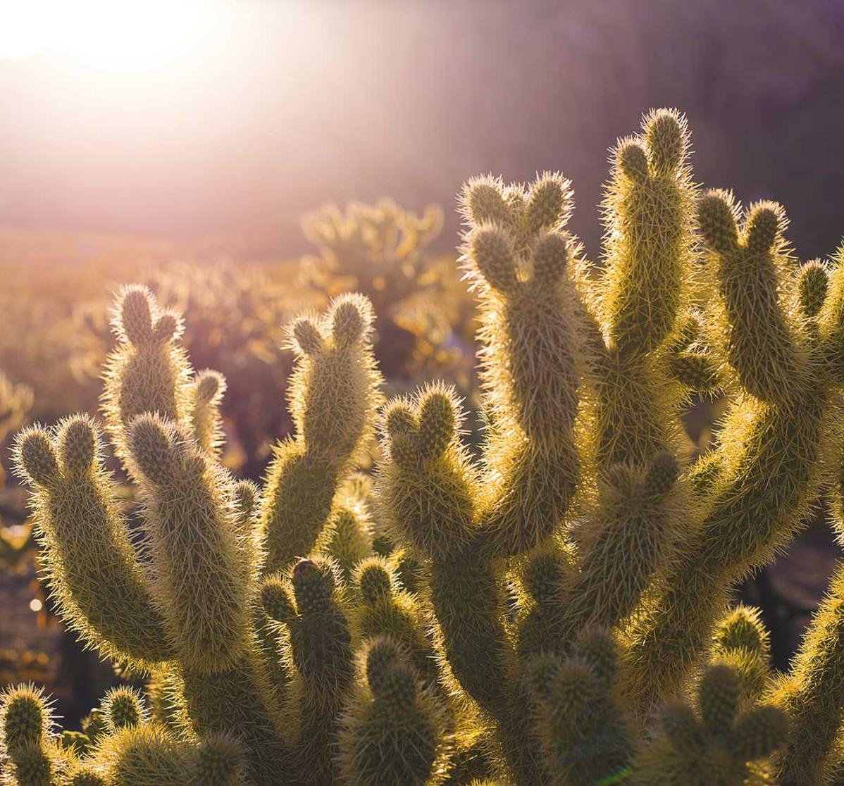 探探实名账号：快手的手机号怎么注册账号