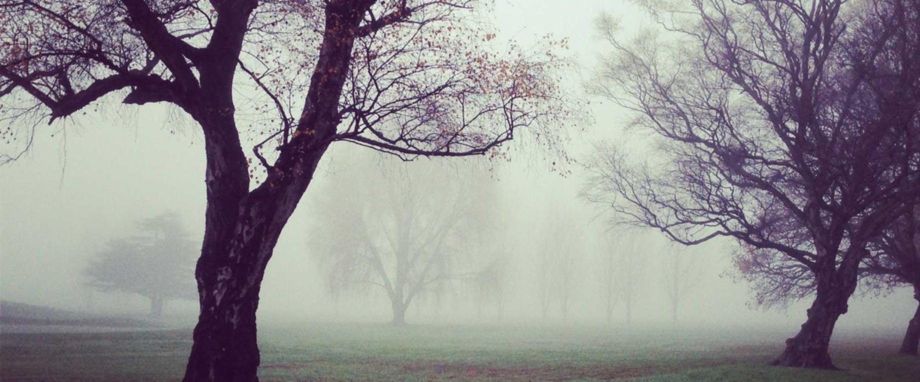 豆瓣实名账号：如何应对短信骚扰的新方法？