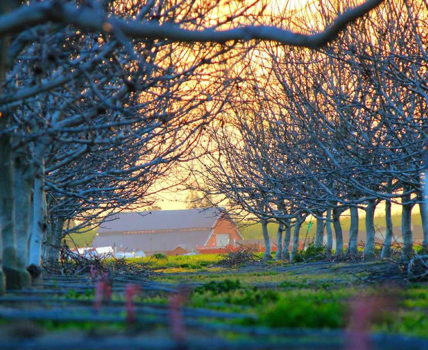 炸房器|台州行app详情下载教程