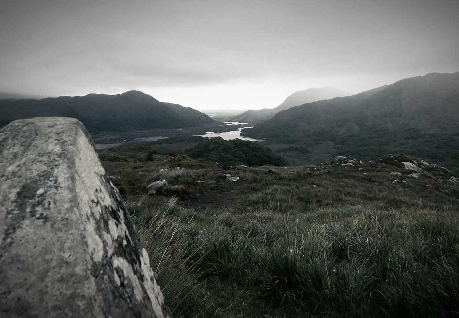 浙江企业注册代理多少钱