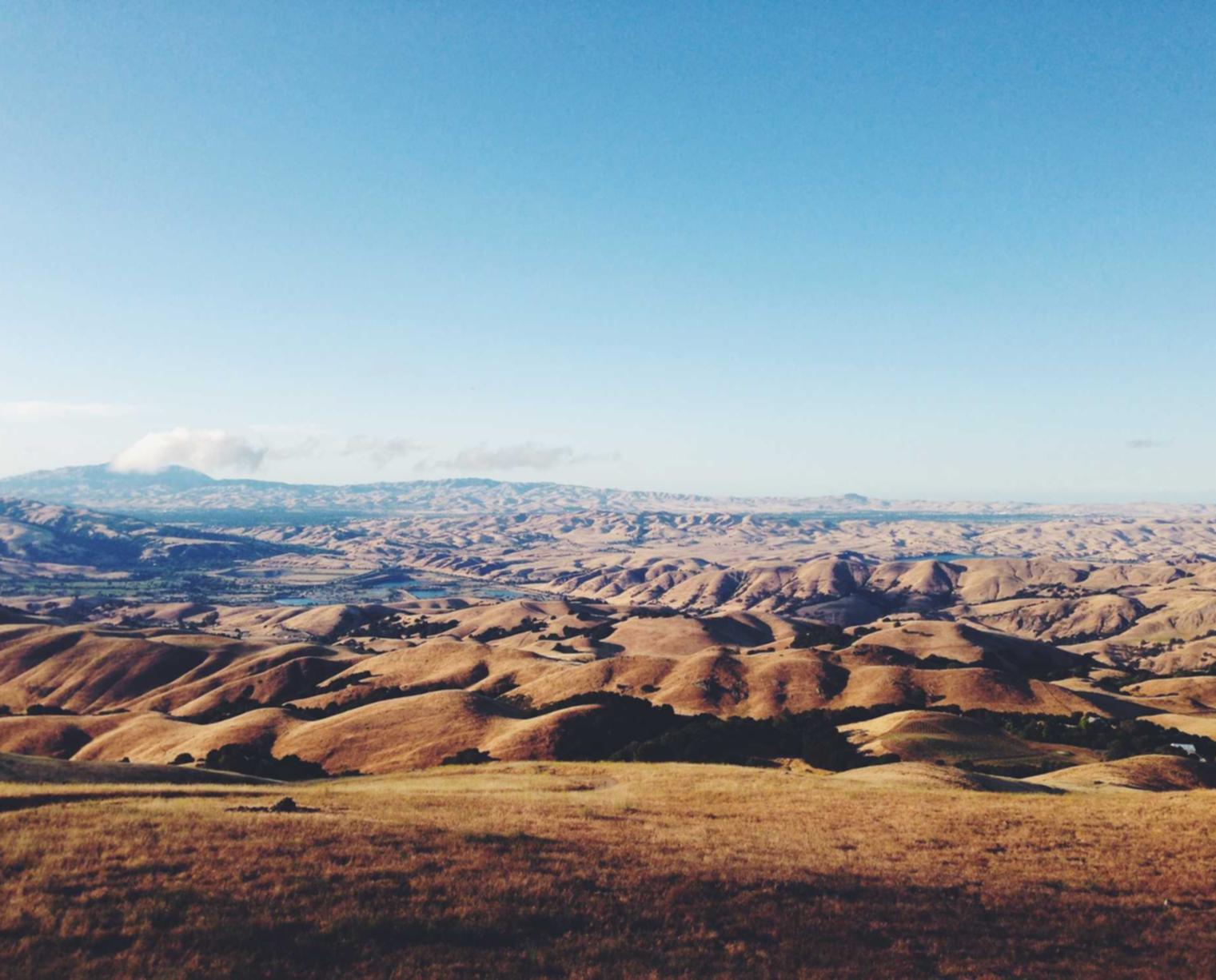 短信营销如何响应绿色环保的号召?