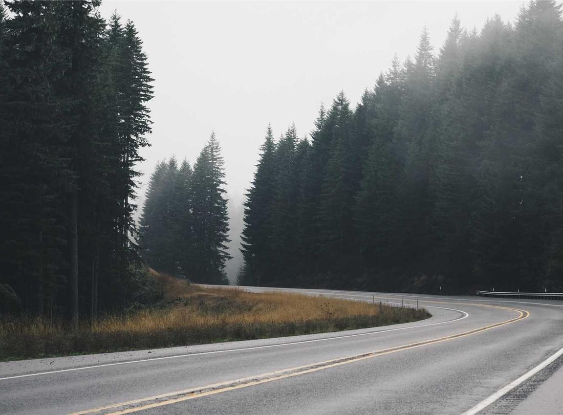 杏彩团队竞技财险代理平台