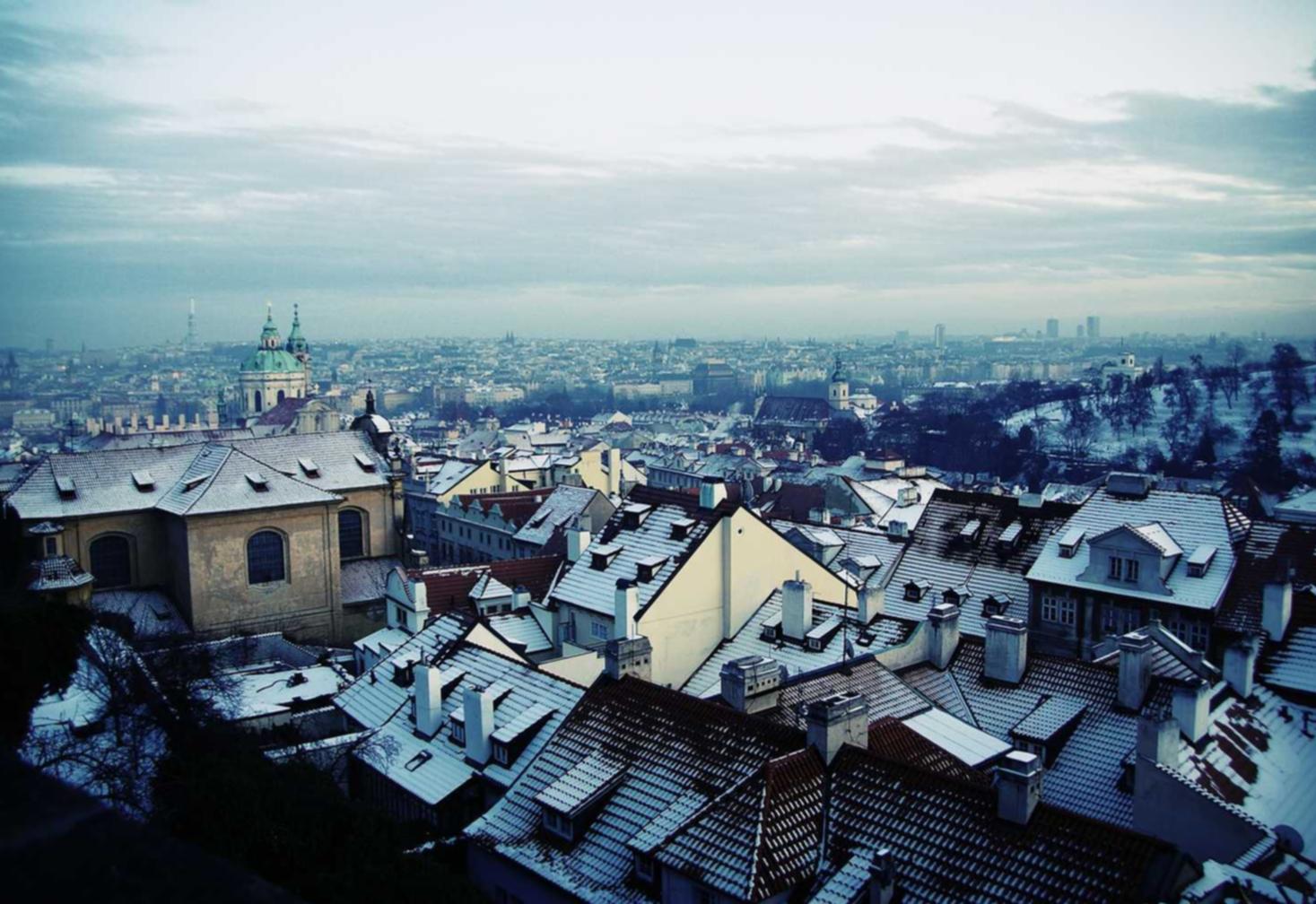 流量卡使用中的权益与保障 