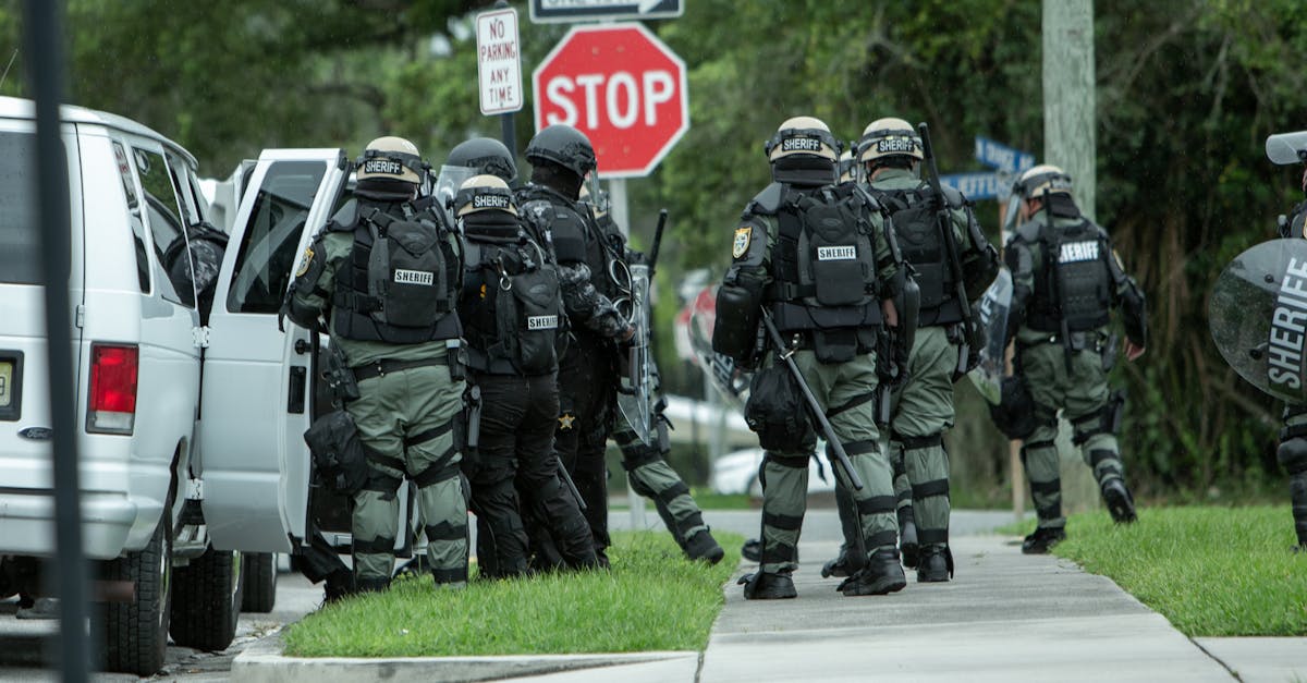 ZEST星空侧推芒果爆珠：京灵财税平台代理