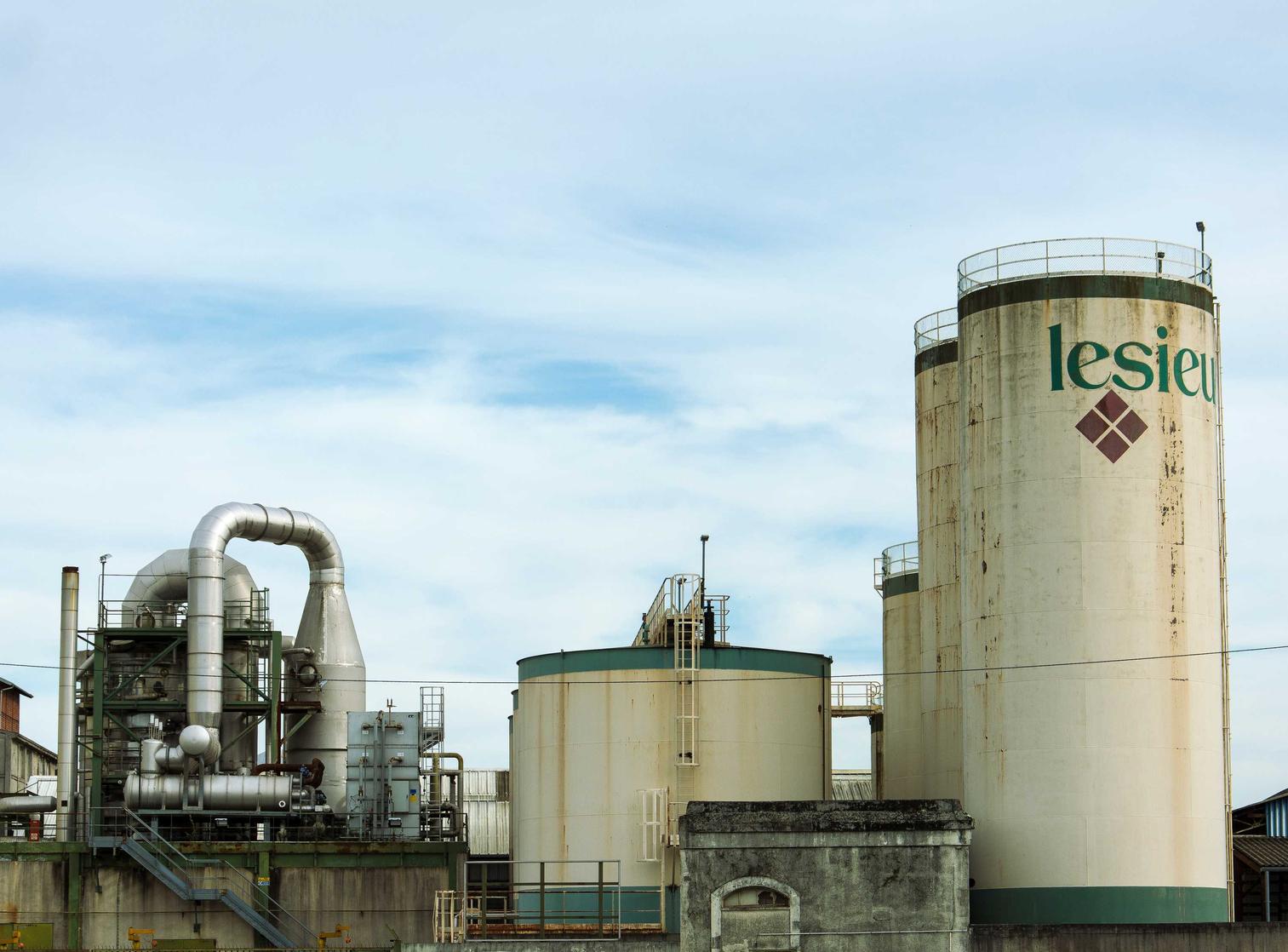 DDOS在线攻击平台|共享猫咪app详情下载教程