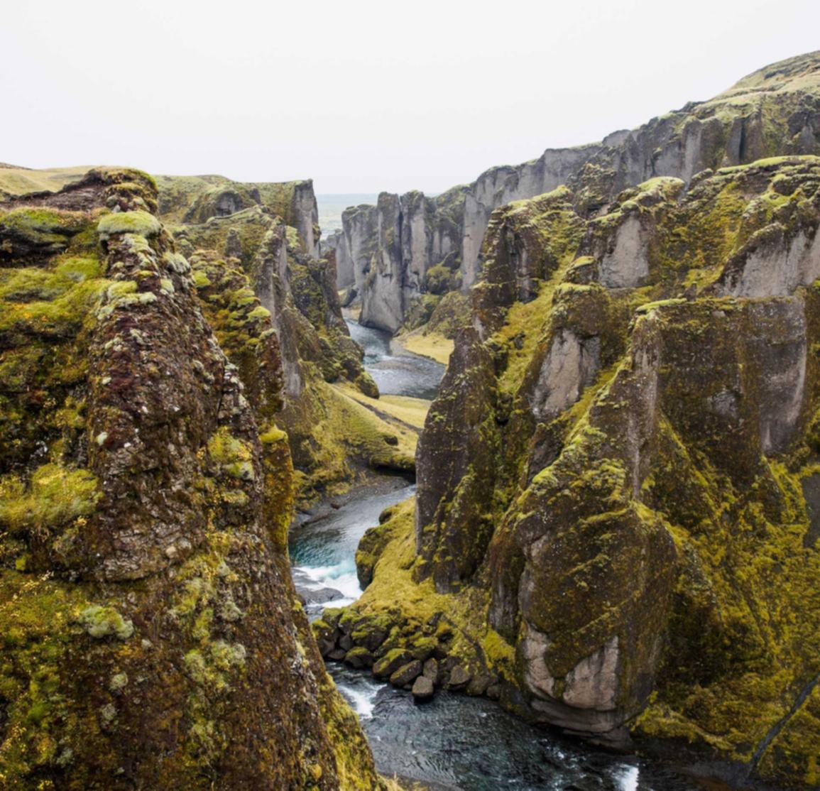 Mond梦都柠檬:雅安工商注册代理