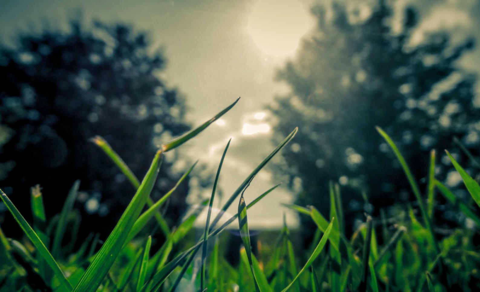 DDOS攻击器|如何通过组织灰帽黑客活动找出漏洞