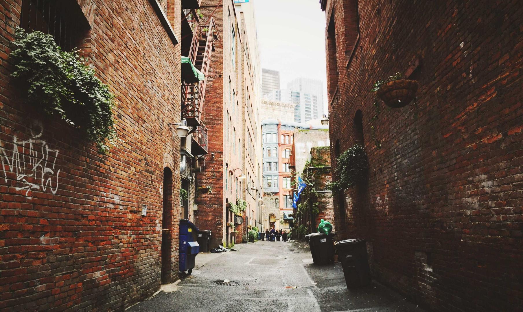 极光实名账号：反战app官方详情下载教程