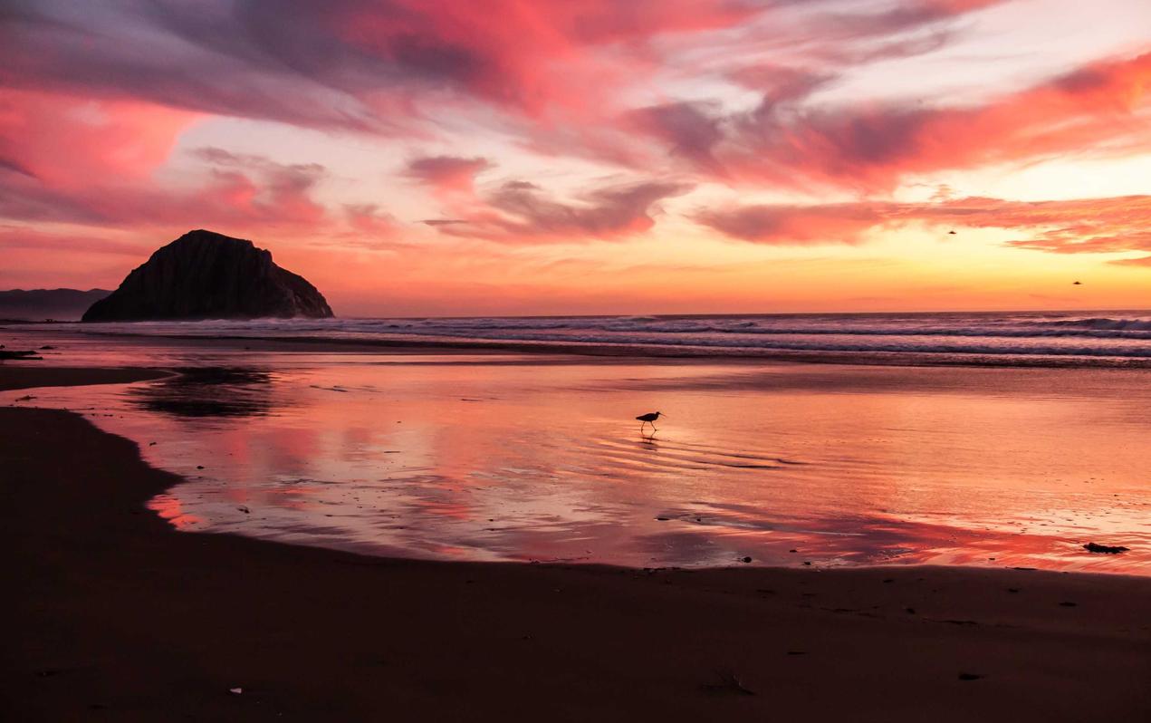 如何使用加速框架来提升您的SEO效果