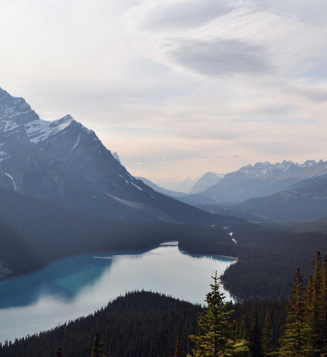 微信批发：教你做一个高转化率短信营销计划？