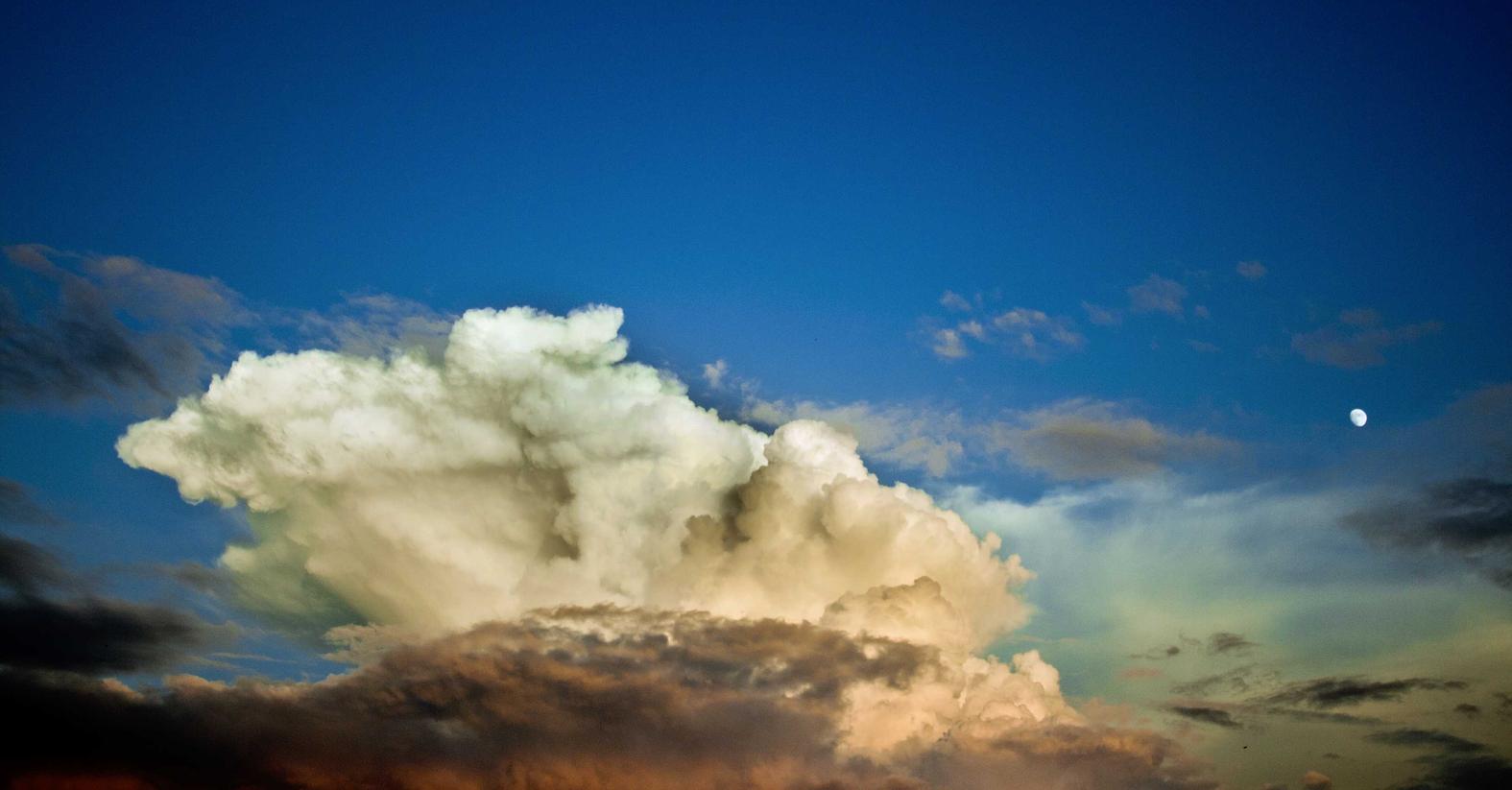 聚名网实名账号：直播平台热度购买