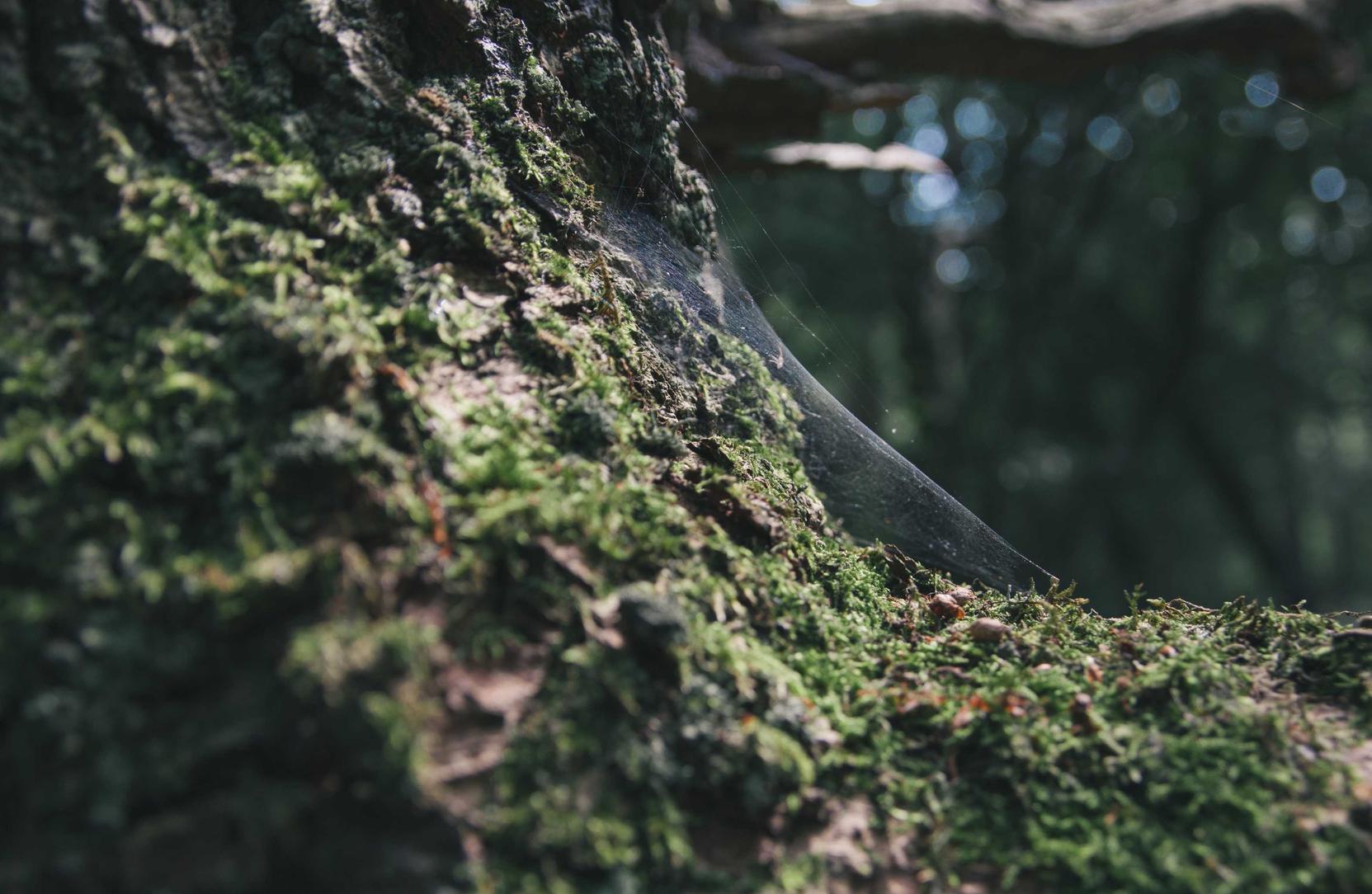 如何确保技术支持辅助不逃脱法律制裁