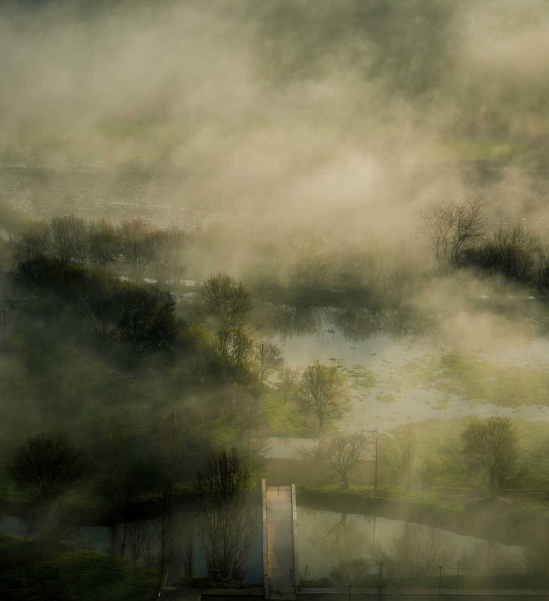 如何使用图像来优化你的SEO