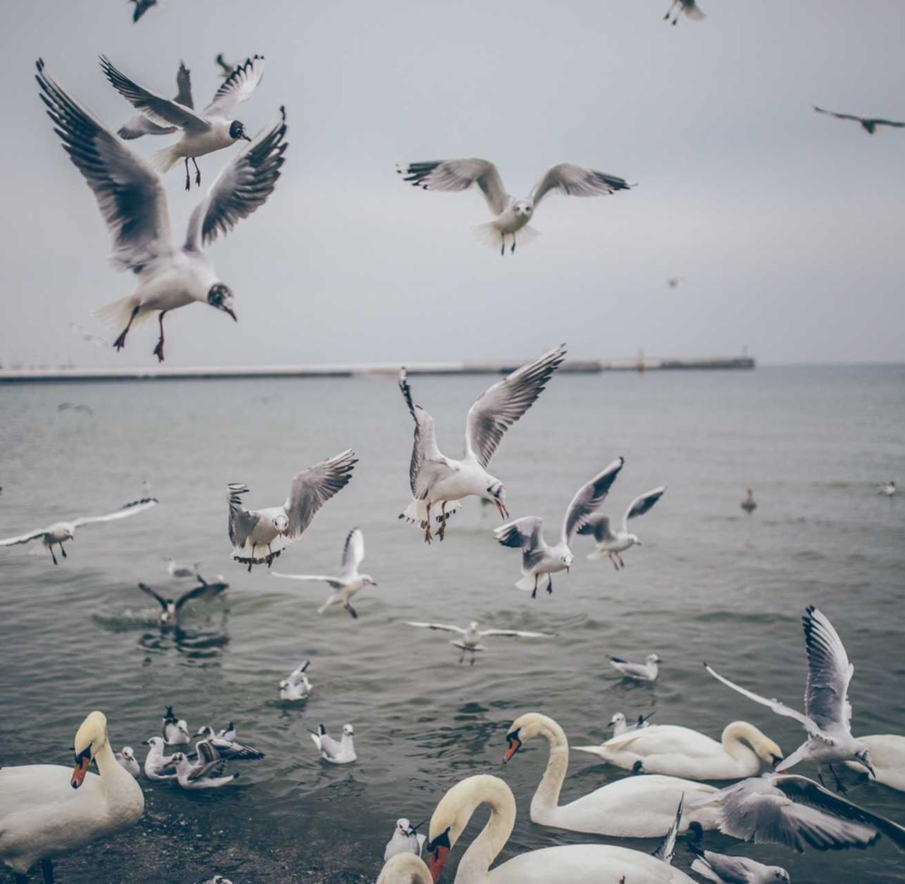 春秋项目规划咋样注册自己的头条号账号