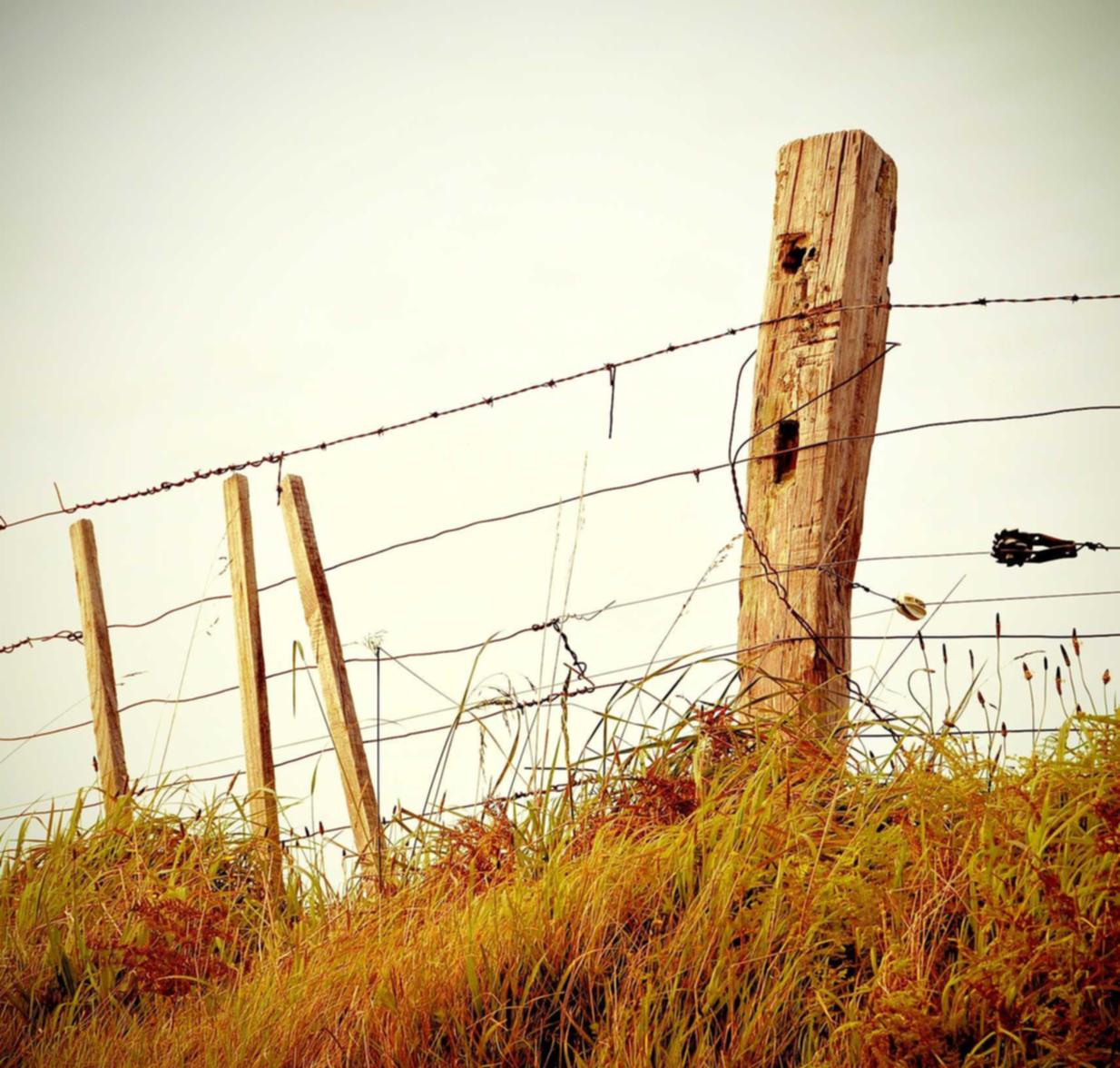 禁止技术支持使用的合法性探讨