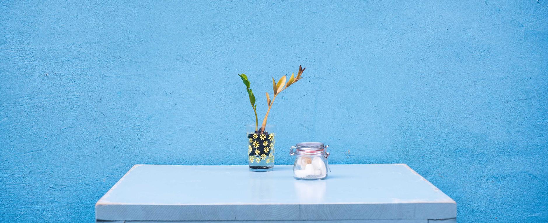 香烟与高血压的联系 