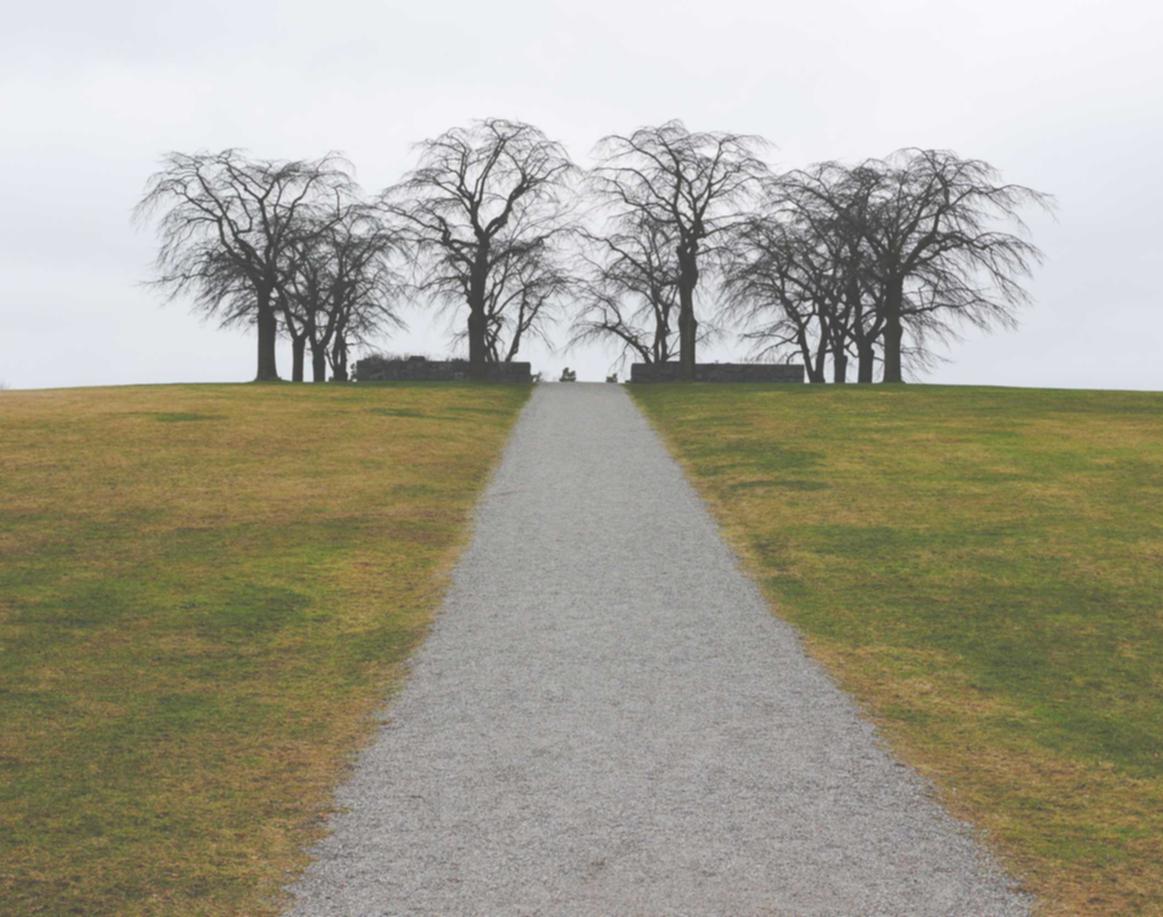 全民优打实名账号：鹏税通app详情下载教程