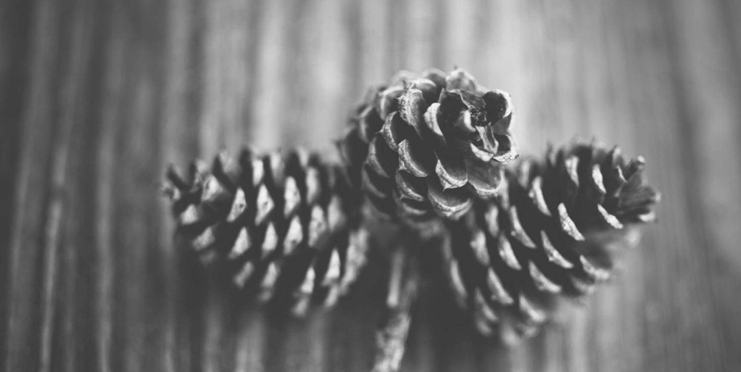 天音移动实名账号：钉钉电脑咋注册账号