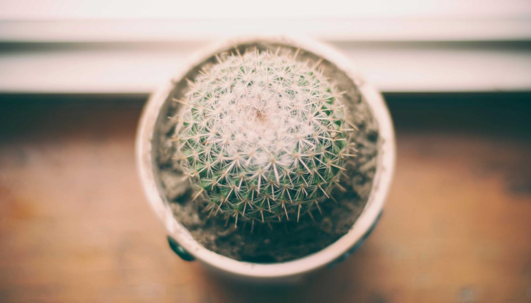 香烟包装设计的演变与发展