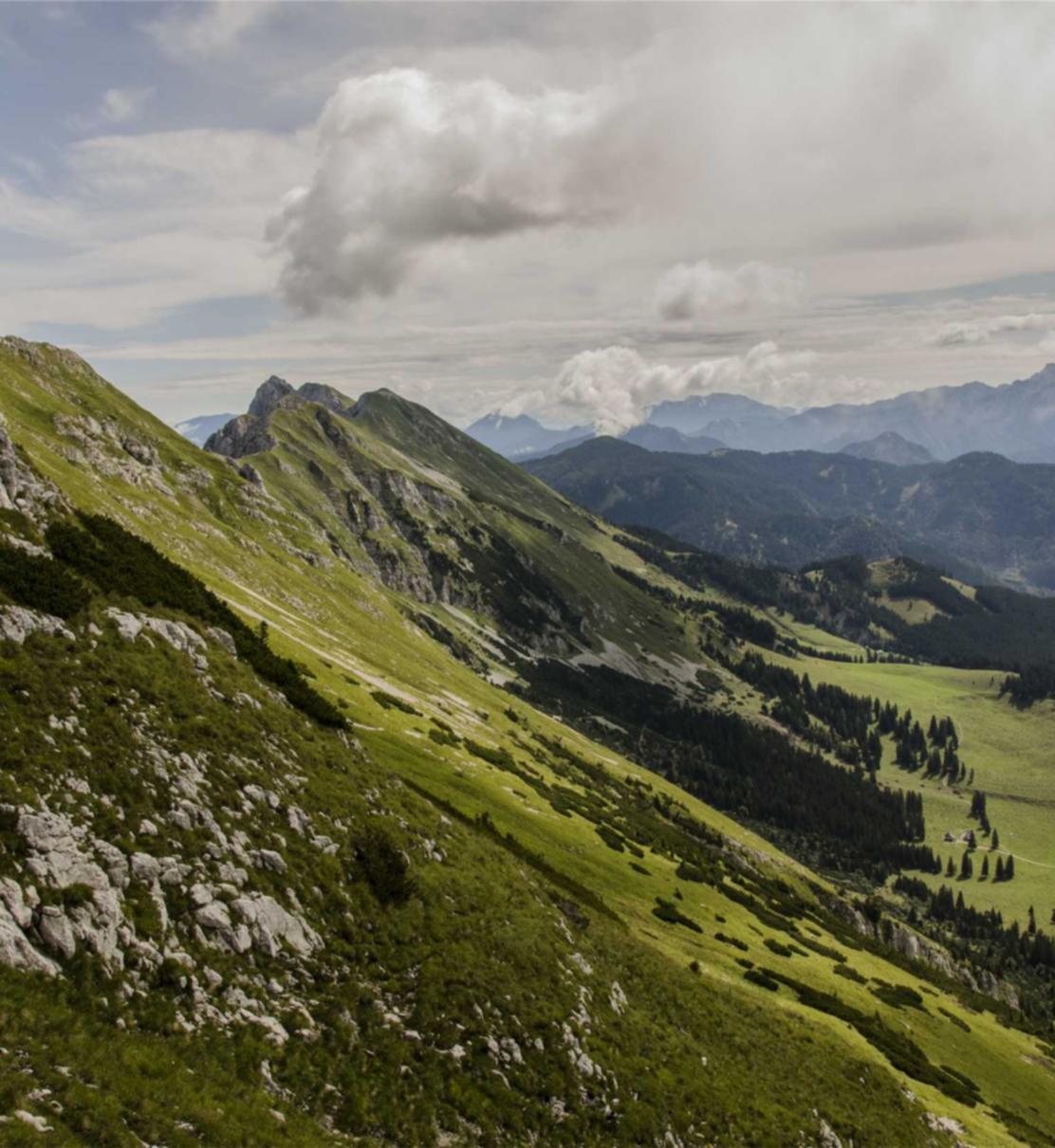 如何在工作中戒烟？