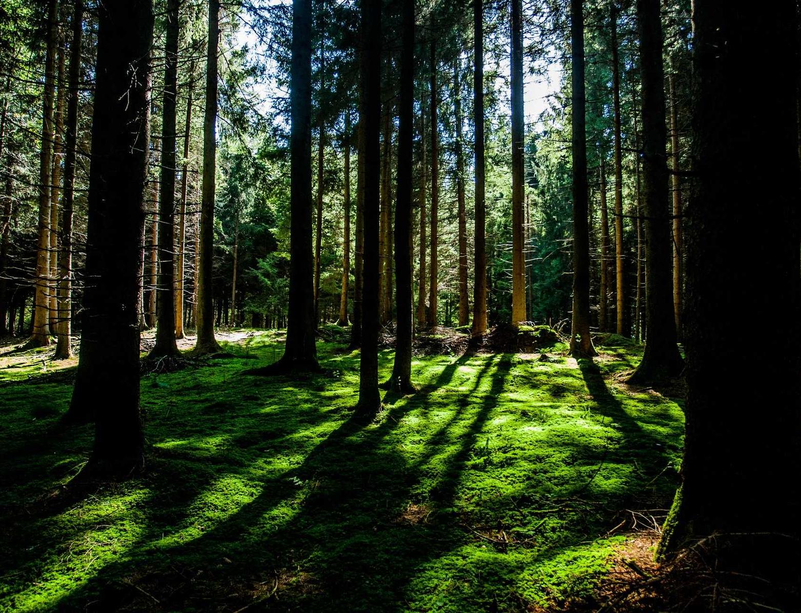 各种国外VX号:用短信记录美好的回忆