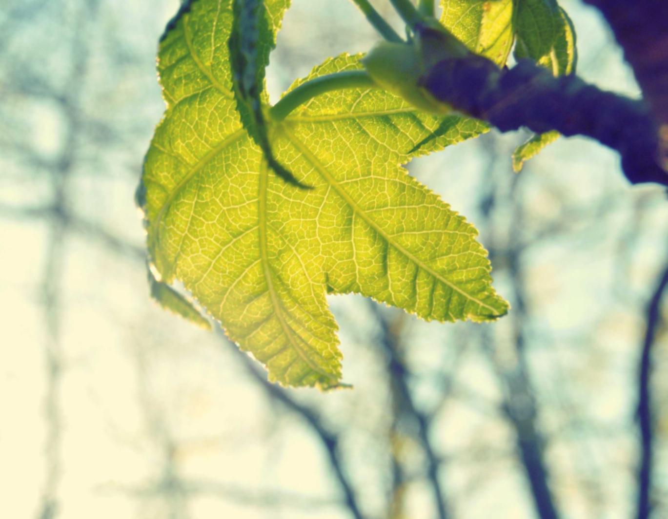 超凡先锋国际服：境外平台开户需要多久