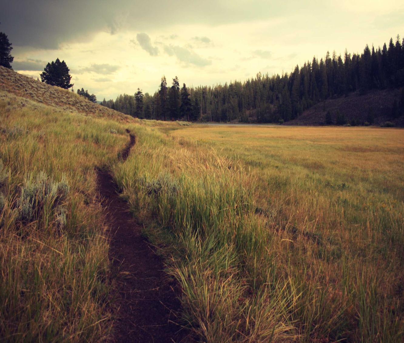 DDOS攻击器|怎么做直播平台代理啊赚钱