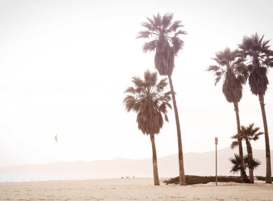 泡泡实名账号:山东如何代理注册公司