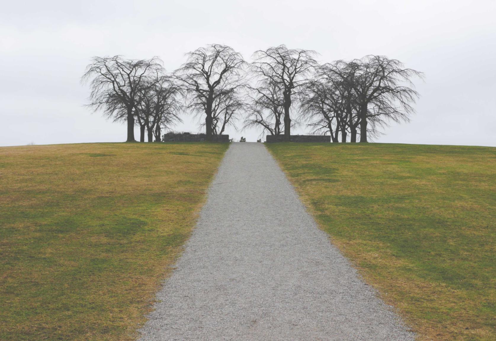 抖音实名账号:极4平台代理