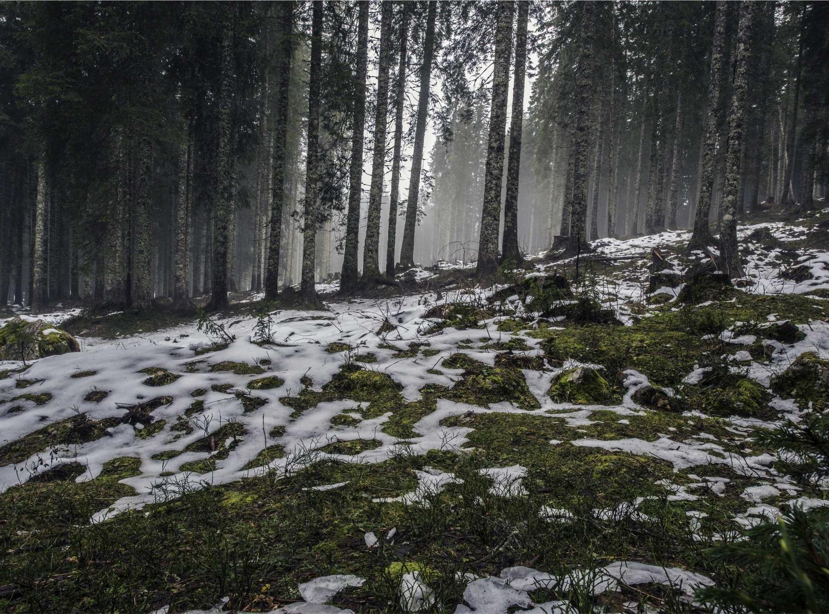 实名抖音号买卖:详情下载教程视频app