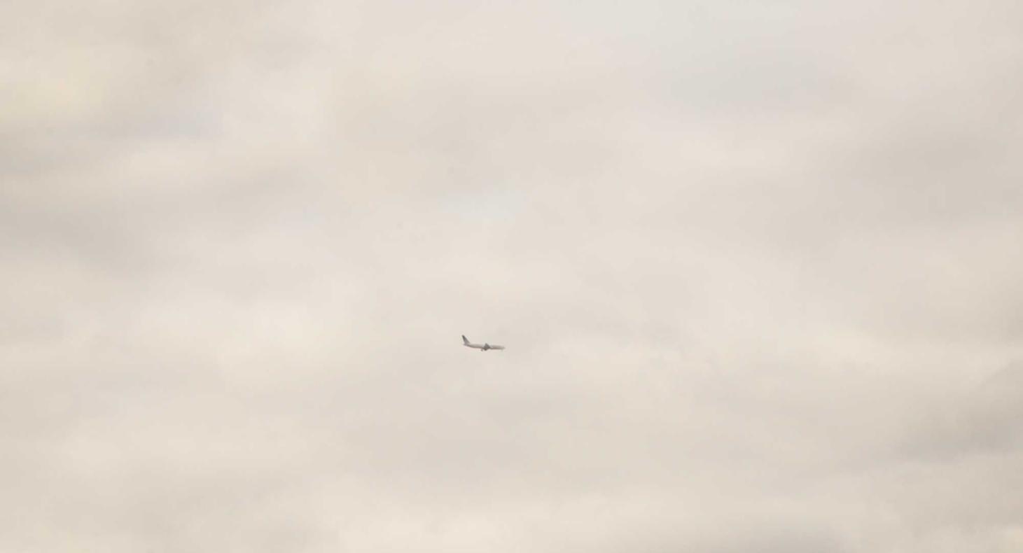 在反技术支持辅助的道路上