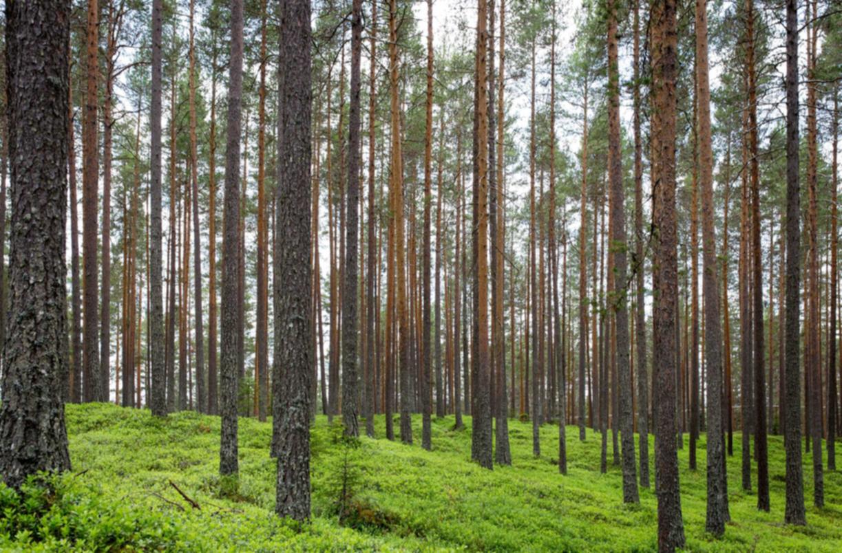 技术支持是游戏讨论的热门话题