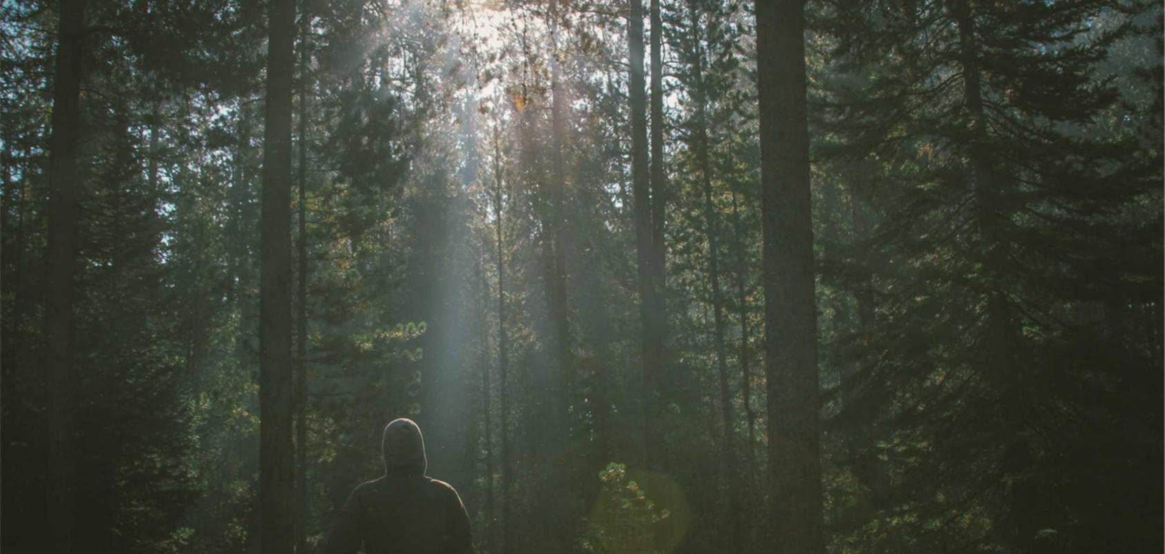 抖音实名账号：东莞长安代理注册