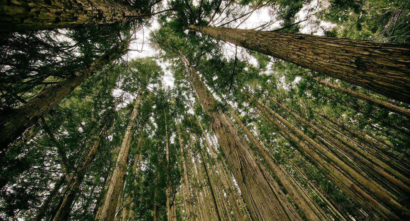 新寻仙:多酷游戏账号注册时间