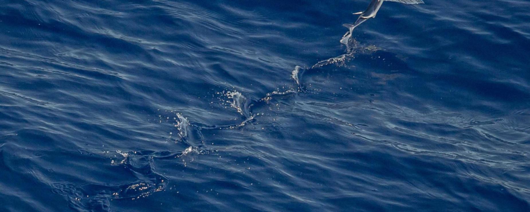 如何探索技术支持制造和使用者心理特征，进一步研究和干预