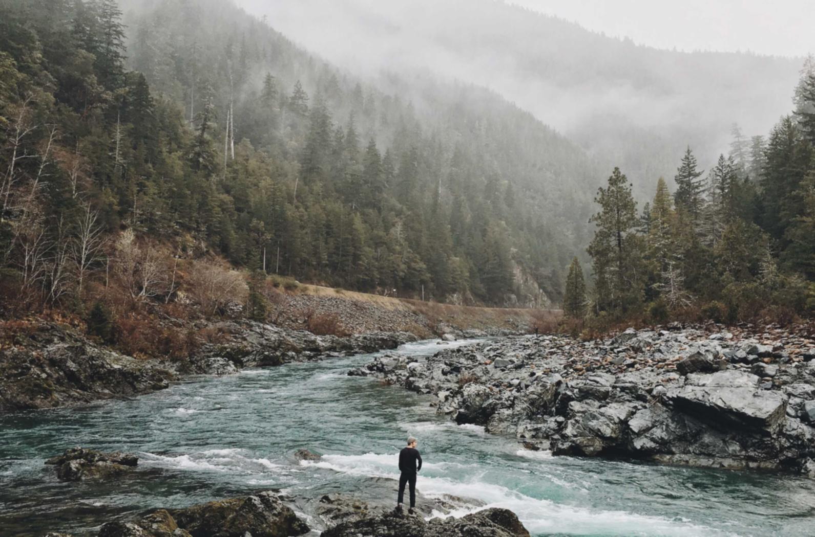 如何利用头部标签来优化SEO