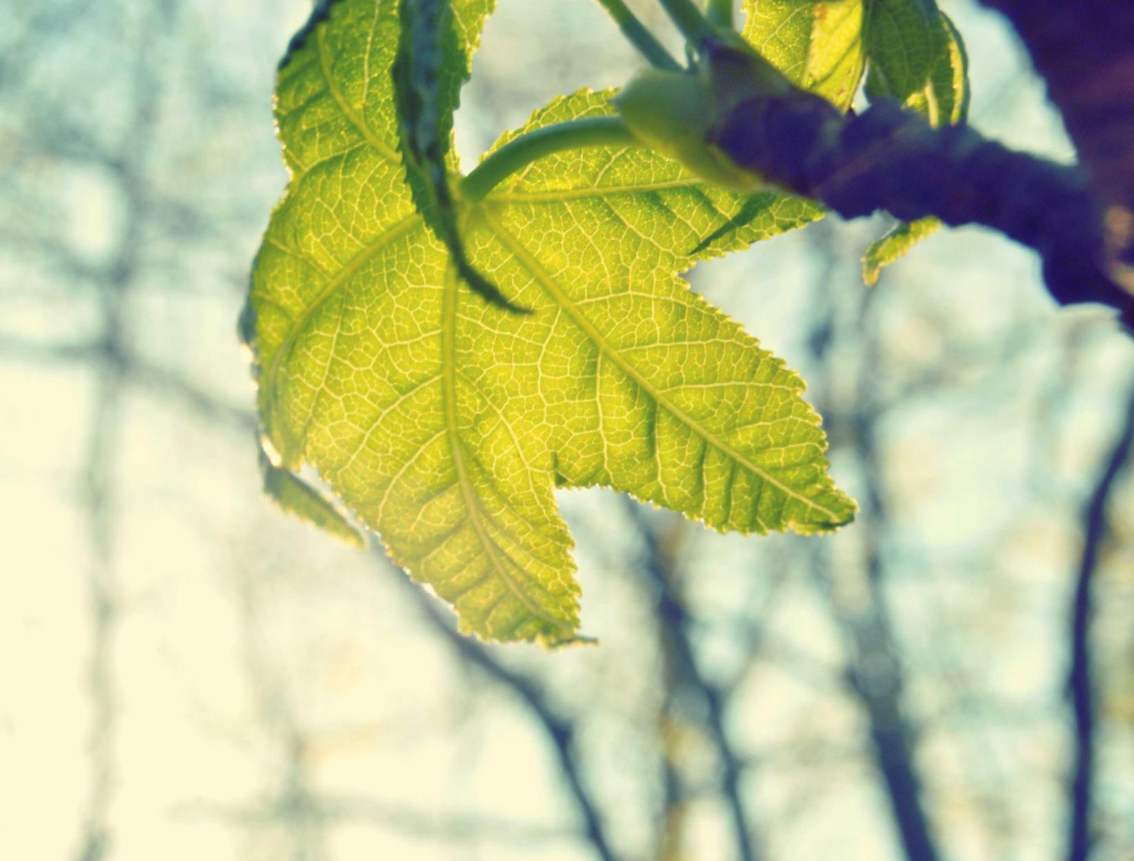 二号站具好用app详情下载教程