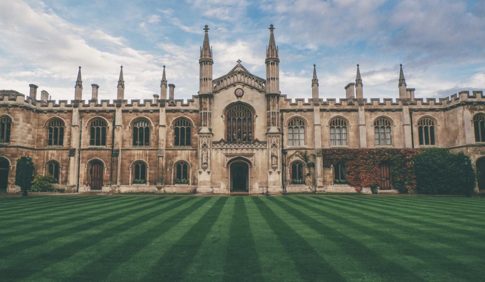 蓝梅花王：广安公司注册代理简阳