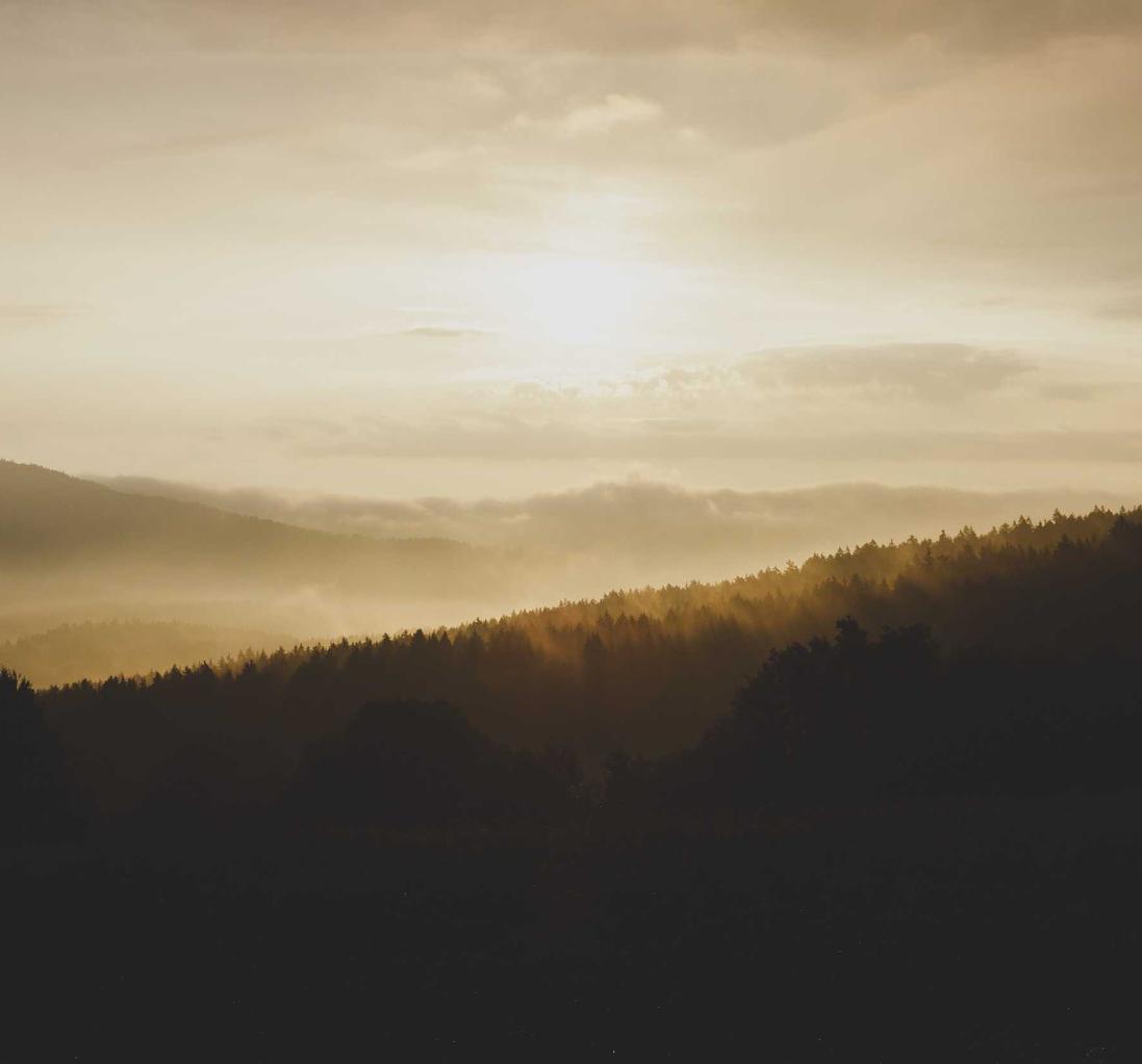 炸房器|如何进行黑客攻击测试