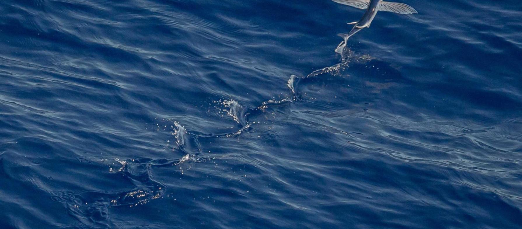 在线DDOS压力测试网页端|初夏app详情下载教程地址