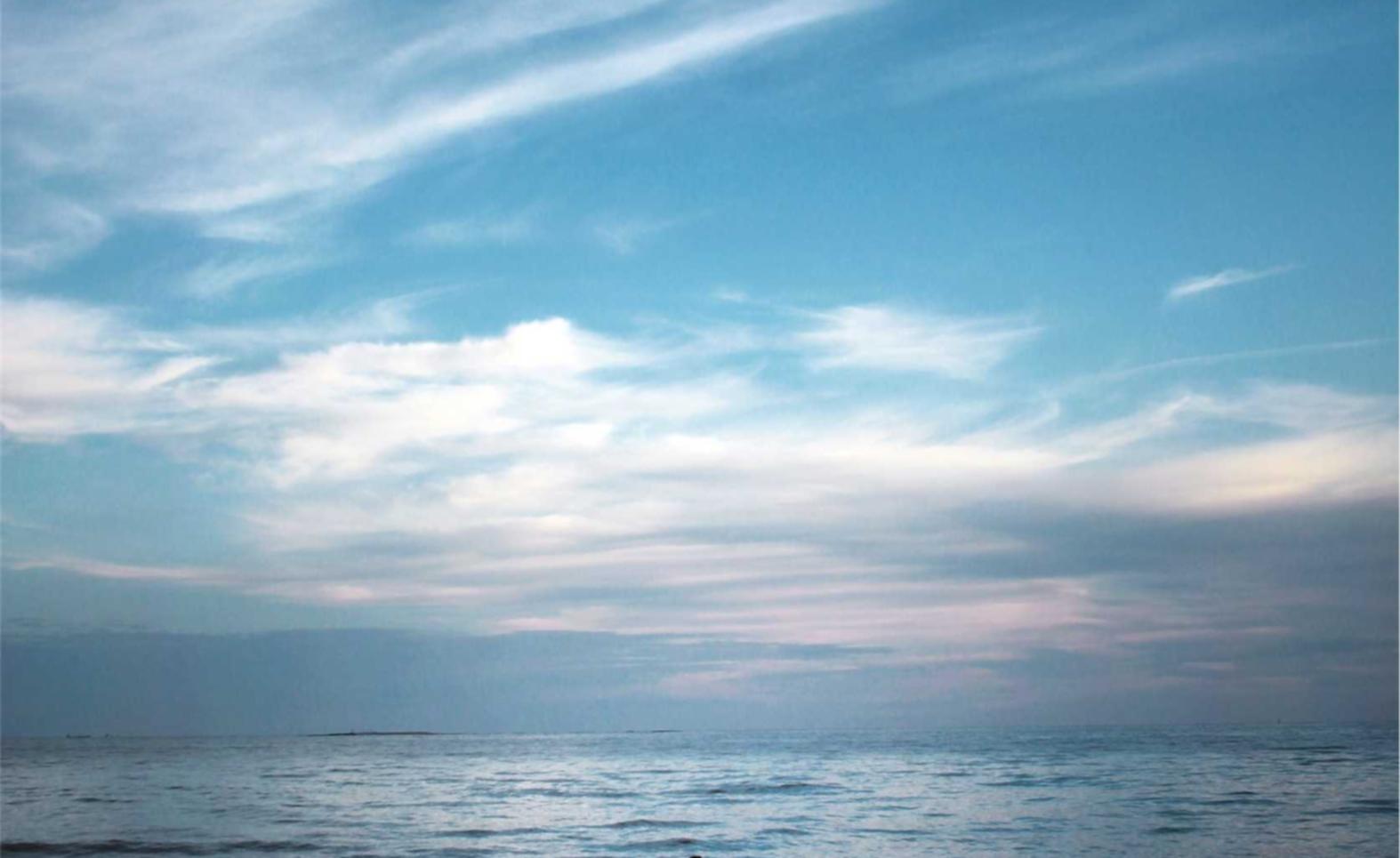 咸鱼实名账号：麦点视频app详情下载教程