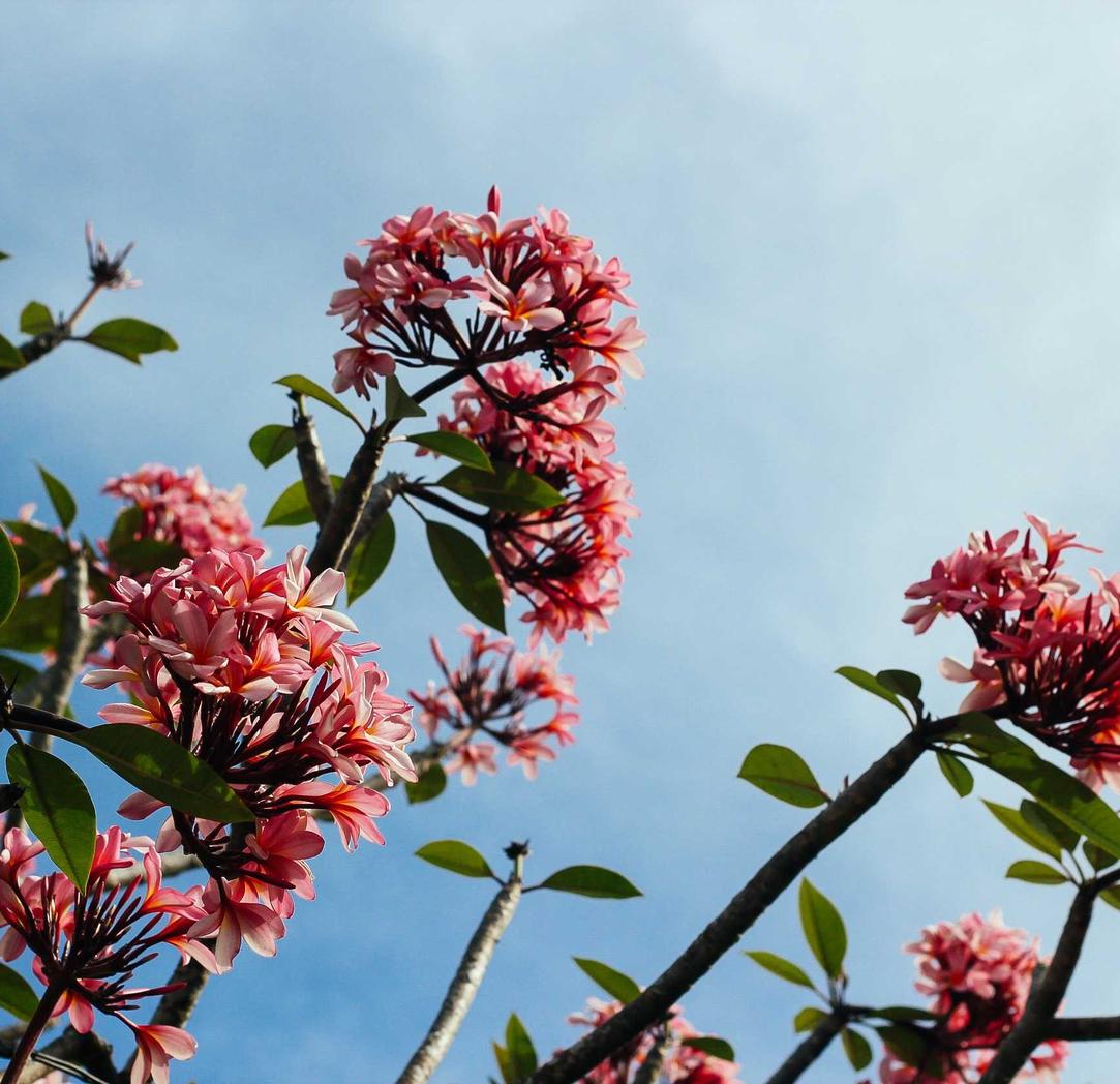 极光实名账号：项目规划返点代理平台