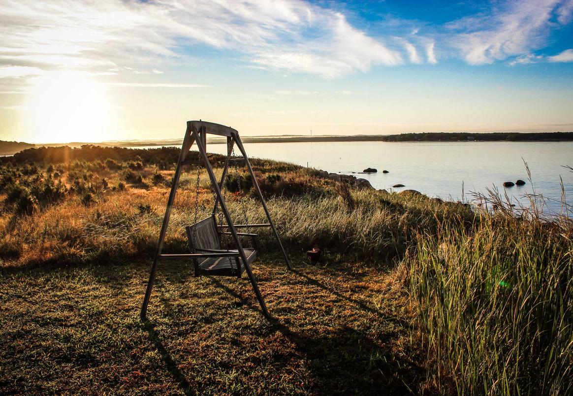 国外ddos攻击页端|如何查看注册的软件账号