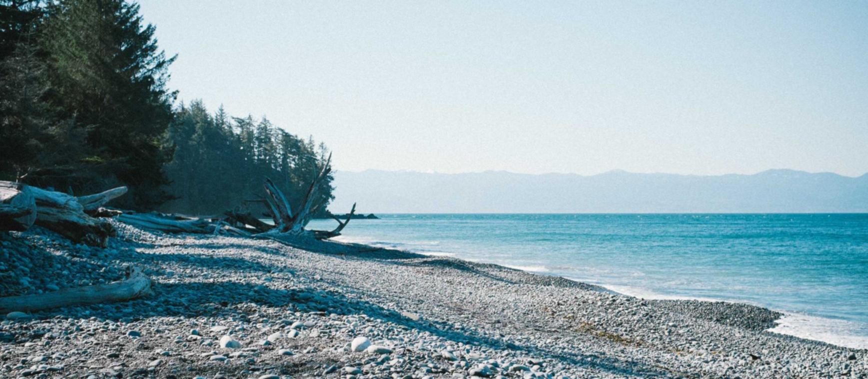 免费DDOS攻击平台|赛博团队竞技app详情下载教程