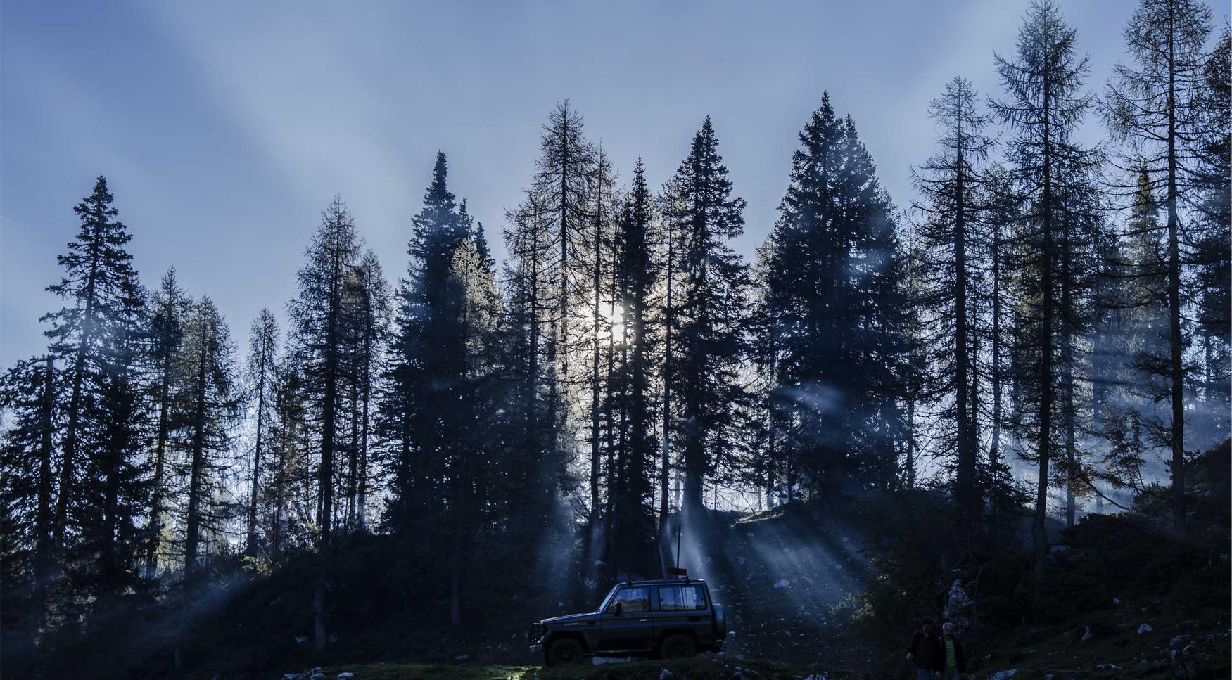 天翼云实名账号：友友app详情下载教程