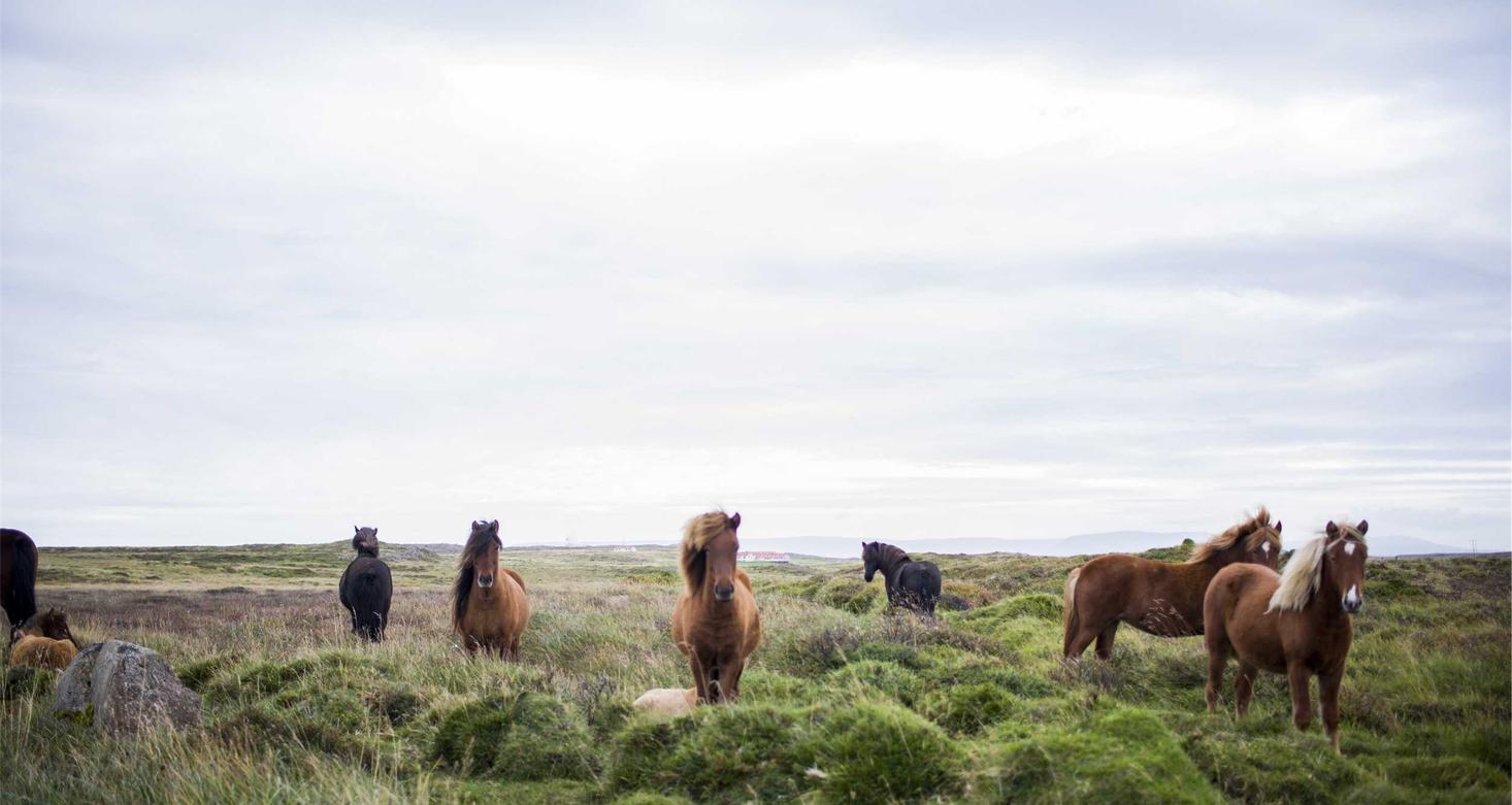 虚拟机手机卡实名实名账号:详情下载教程新英团队竞技app